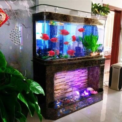 風景魚缸設計的技巧：水族箱背后的科學原理
