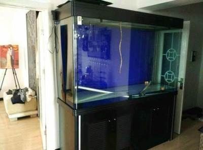 魚缸品牌排名：閩江水族隸屬于廣東閩江水族實(shí)業(yè)有限公司]：如何選擇一個(gè)合適的魚缸