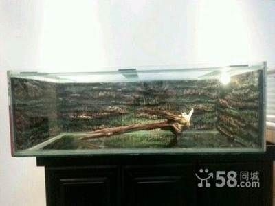 呼和浩特魚缸定制店：呼和浩特哪里有賣魚缸的地方 呼和浩特魚缸定制店：呼和浩特哪里有賣魚缸的地方 魚缸百科 第2張