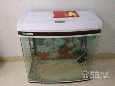 呼和浩特魚缸定制店：呼和浩特哪里有賣魚缸的地方 呼和浩特魚缸定制店：呼和浩特哪里有賣魚缸的地方 魚缸百科 第3張