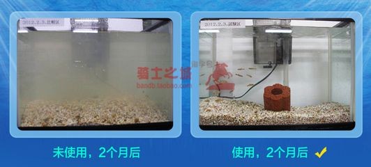 魚缸過濾系統維護與故障排查學習如何選擇魚缸過濾系統：如何選擇魚缸過濾材料