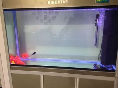 底濾魚缸過濾網的安裝步驟是一個關鍵步驟影響魚缸內的水質和魚的健康：底濾魚缸過濾網安裝步驟