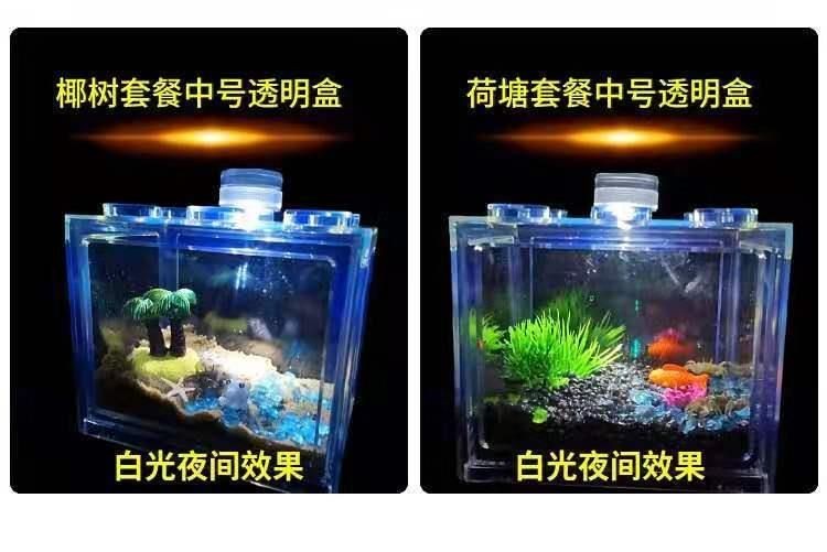 狗頭魚飼養技巧：不同品種狗頭魚對魚缸大小的需求有所不同的需求有所不同 狗頭魚飼養技巧：不同品種狗頭魚對魚缸大小的需求有所不同的需求有所不同 魚缸百科 第3張