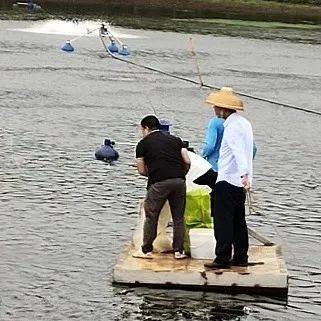銀龍魚翹嘴怎么修復(fù)視頻教學(xué)(銀龍魚嘴歪怎么辦)