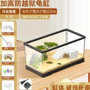黑魚魚缸怎么養好看視頻，黑魚魚缸養殖技術視頻教程：關于黑魚魚缸怎么養好看的問題