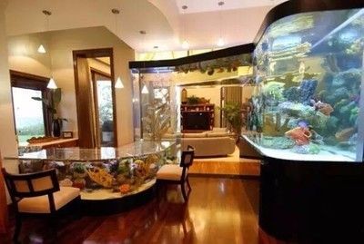 智能魚缸的科技革命，帶來了什么？：創意魚缸實景圖展示