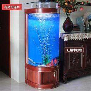 銀龍魚鱗片潰爛（銀龍魚鱗片潰爛怎么回事）