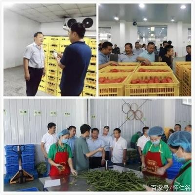 廣州市從化街口藍雨婷水族店（廣州市從化街口藍雨婷水族店電話）