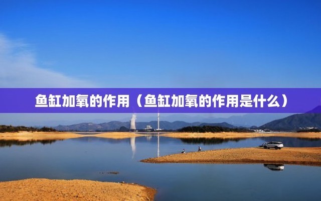 越秀區裕鏗水族器材（越秀區裕鏗水族器材經營部）