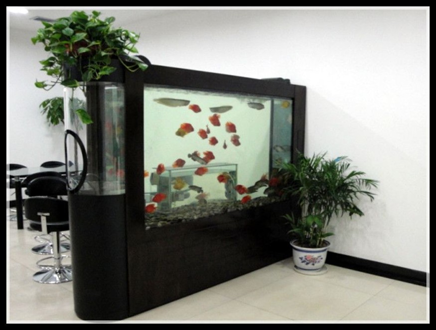 分體式魚缸安裝的注意事項(xiàng):分體式魚缸安裝方法 魚缸百科 第3張 分體式魚缸安裝的注意事項(xiàng):分體式魚缸安裝方法 分體式魚缸安裝的注意事項(xiàng):分體式魚缸安裝方法 魚缸百科 第3張