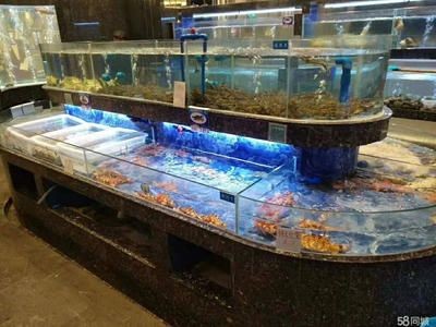 海鮮魚缸設計的相關信息：海鮮魚缸的日常維護與疾病預防海鮮魚缸的日常維護