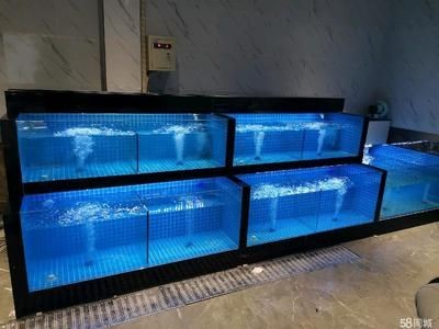 海鮮魚缸設計的相關信息：海鮮魚缸的日常維護與疾病預防海鮮魚缸的日常維護