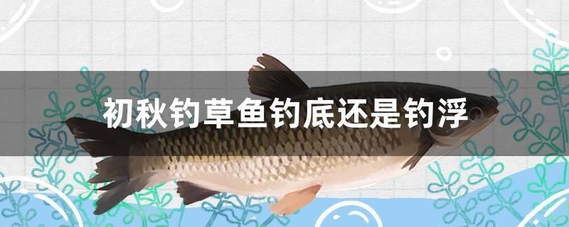 魚缸過濾器選購指南:自制魚缸過濾器魚缸上置過濾器對于養魚愛好者的必備知識 初秋釣草魚釣底還是釣浮 虎魚百科 初秋釣草魚釣底還是釣浮 初秋釣草魚釣底還是釣浮 虎魚百科