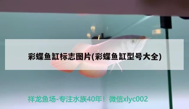龍魚與虎魚混養視頻教程全集(龍魚和虎魚打架的解決辦法) 虎魚百科 第3張 龍魚與虎魚混養視頻教程全集(龍魚和虎魚打架的解決辦法) 龍魚與虎魚混養視頻教程全集(龍魚和虎魚打架的解決辦法) 虎魚百科 第3張