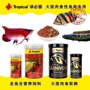 四紋虎魚繁殖飼料選擇指南，印尼四紋虎魚繁殖飼料選擇指南四紋虎魚繁殖飼料選擇指南