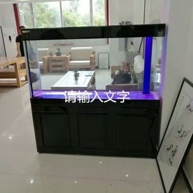 黑鉆魚缸內置過濾的改進方法：黑鉆魚缸內置過濾的改進可以通過多種方式進行多種方式進行 黑鉆魚缸內置過濾的改進方法：黑鉆魚缸內置過濾的改進可以通過多種方式進行多種方式進行 魚缸百科 第3張