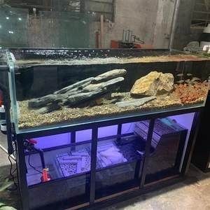 水草缸的養護秘籍：底濾魚缸造景養水草