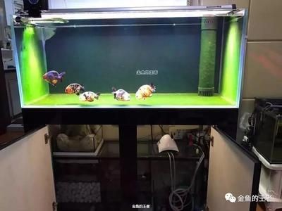 底濾魚缸改造干濕分離的方法：家庭diy干濕分離改造教程