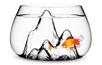魚缸背景圖案的選擇指南在選擇魚缸背景圖案的選擇指南：家居裝飾與風水學的結(jié)合