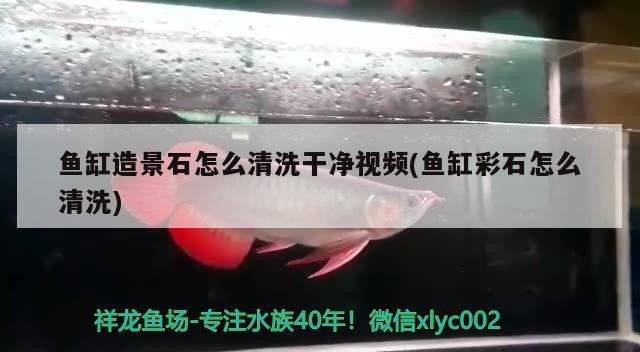 虎魚眼睛有氣泡