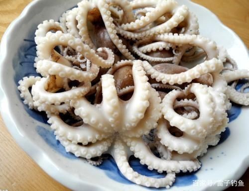 老虎魚活餌保存方法，老虎魚活餌的保存方法