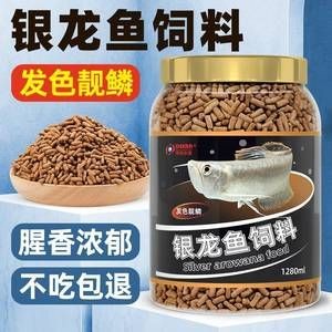 銀龍魚增色飼料的選擇，銀龍魚增色飼料副作用，銀龍魚增色飼料喂食技巧