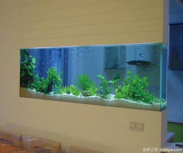 房間養魚的風水講究：臥室養魚必須注意五大原則：不可犯了“沒頂水”或稱“淋頭水” 房間養魚的風水講究：臥室養魚必須注意五大原則：不可犯了“沒頂水”或稱“淋頭水” 魚缸百科 第1張