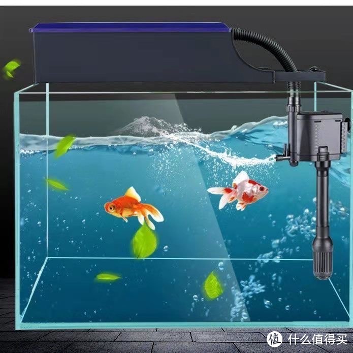 伊通滿族自治縣伊通鎮花雨香水族館（伊通花海）
