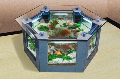 淡水魚缸水渾濁的常見原因及解決方法：淡水魚缸水渾濁的原因及解決方法 淡水魚缸水渾濁的常見原因及解決方法：淡水魚缸水渾濁的原因及解決方法 魚缸百科 第3張