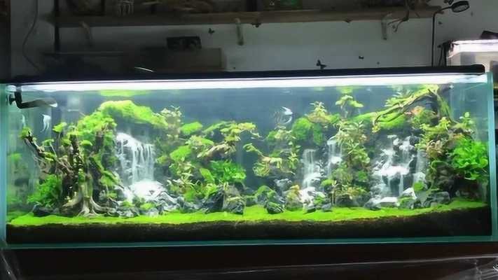 綠園區大自然花鳥魚商城匯銘漁堂水族店