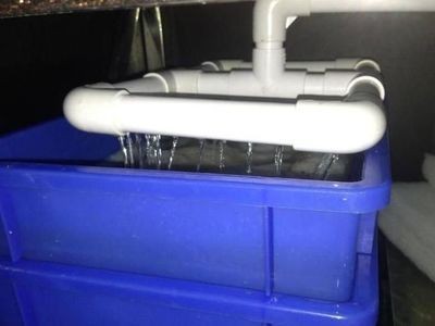 解決底濾魚缸下水管堵塞的幾種方法:底濾魚缸下水管堵塞怎么辦 魚缸百科 第1張 解決底濾魚缸下水管堵塞的幾種方法:底濾魚缸下水管堵塞怎么辦 解決底濾魚缸下水管堵塞的幾種方法:底濾魚缸下水管堵塞怎么辦 魚缸百科 第1張