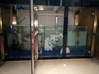 解決底濾魚缸下水管堵塞的幾種方法:底濾魚缸下水管堵塞怎么辦 魚缸百科 第4張 解決底濾魚缸下水管堵塞的幾種方法:底濾魚缸下水管堵塞怎么辦 解決底濾魚缸下水管堵塞的幾種方法:底濾魚缸下水管堵塞怎么辦 魚缸百科 第4張