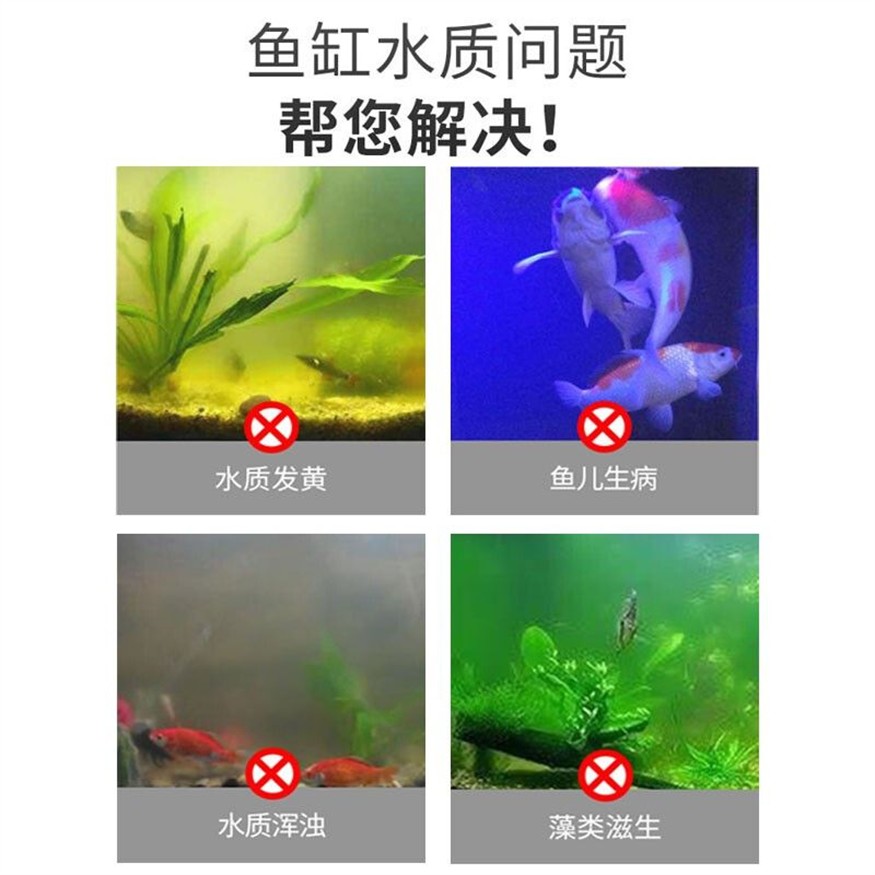 魚缸自然光消毒方法：自然光殺菌的秘密