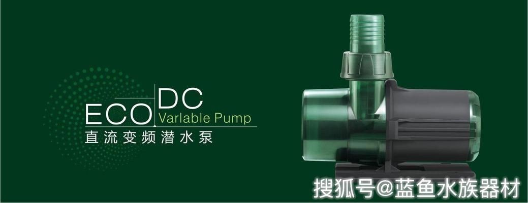 紅木魚缸架的選擇與養護：紅木家具與魚缸裝飾的搭配技巧紅木家具與魚缸的搭配技巧