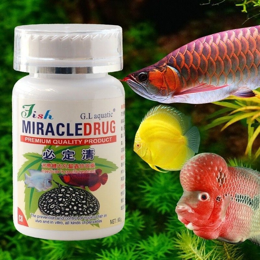 龍魚驅(qū)蟲用什么藥效果好用 龍魚驅(qū)蟲用什么藥效果好用 龍魚百科 第1張