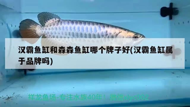 斗門區(qū)白蕉鎮(zhèn)木棉花水族館（斗門區(qū)白蕉鎮(zhèn)木棉花水族館電話）