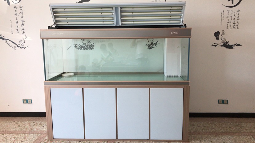 安龐的新豪宅虎魚