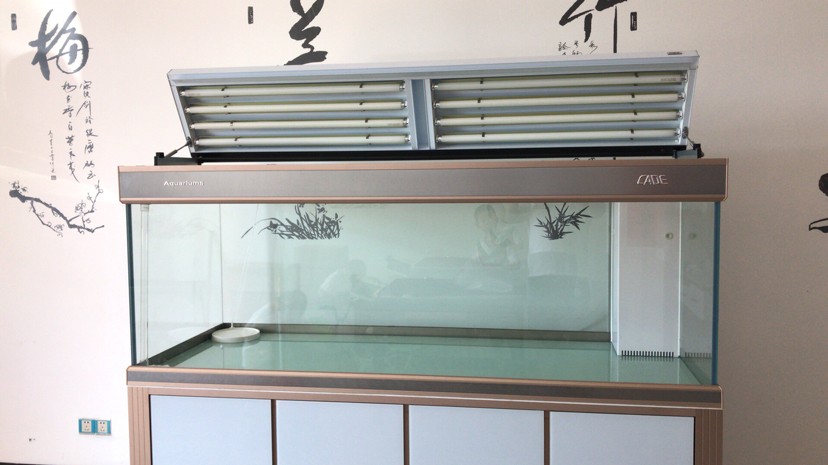 安龐的新豪宅虎魚
