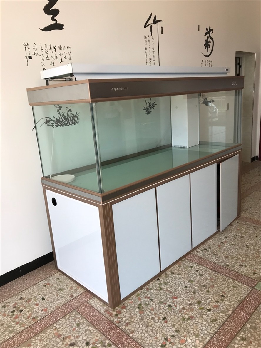 安龐的新豪宅虎魚