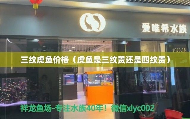 四紋虎魚飼料營養均衡方案，四紋虎魚營養均衡方案 四紋虎魚飼料營養均衡方案，四紋虎魚營養均衡方案 虎魚百科 第5張