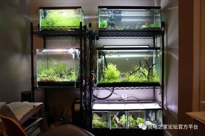 海城地區多條二手魚缸的出售轉讓信息：二手魚缸交易安全指南