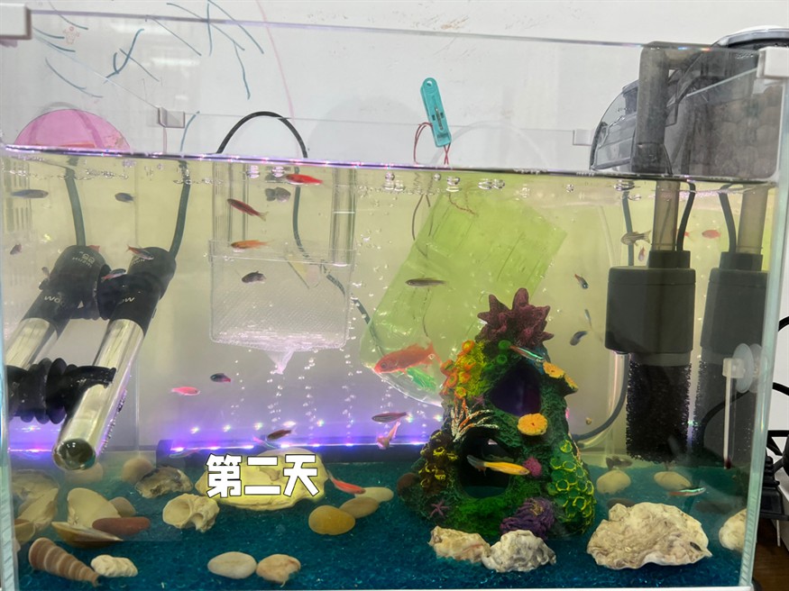 定興縣魚之樂水族館(定興縣魚之樂水族館電話) 全國水族館企業名錄 第1張 定興縣魚之樂水族館(定興縣魚之樂水族館電話) 定興縣魚之樂水族館(定興縣魚之樂水族館電話) 全國水族館企業名錄 第1張
