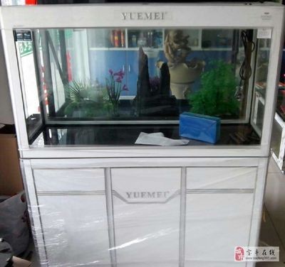 滑縣道口天王水族魚缸店在哪里找到賣家？：滑縣道口天王水族魚缸店