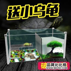 南京市雨花臺區天際海水族銷售部 全國水族館企業名錄 第1張 南京市雨花臺區天際海水族銷售部 南京市雨花臺區天際海水族銷售部 全國水族館企業名錄 第1張