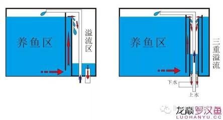 底濾魚缸維修指南：底濾魚缸溢水可能由以下幾個原因引起：底濾魚缸溢水