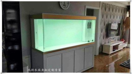 定制魚缸的價格范圍和具體價格案例：定制魚缸價格一般多少？