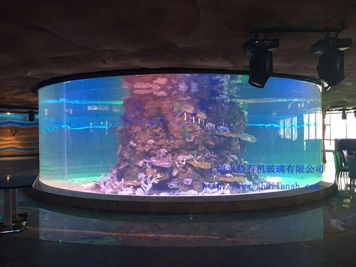 海水景觀魚(yú)缸是什么？：關(guān)于海水景觀魚(yú)缸的一些信息