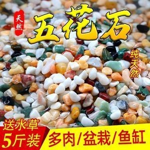 底濾魚缸裝飾的幾種方法：底濾魚缸裝飾方法
