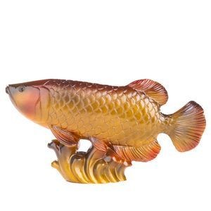 金龍魚(yú)變色的階段是什么樣的