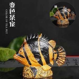金龍魚(yú)變色的階段是什么樣的